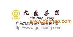 廣東九鼎投資擔(dān)保 專業(yè)投資信息咨詢引領(lǐng)財(cái)富未來(lái)
