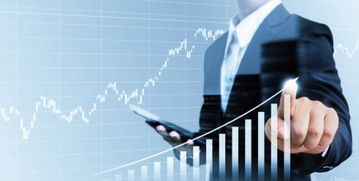 借信息化管理之翼，筑“三算合一”管控之基——論信息化集團管控在投資信息咨詢領域的實現路徑