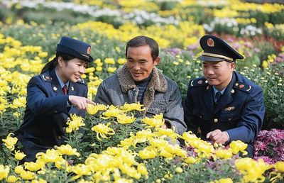 譙城工商積極引導農民轉型，花木種植經營成致富新路徑